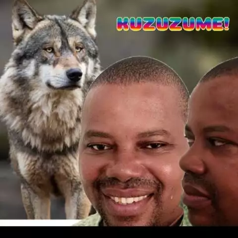 GENITO FLAVIO ACACIO LUIS