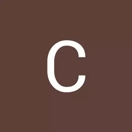 Não conheço palavras