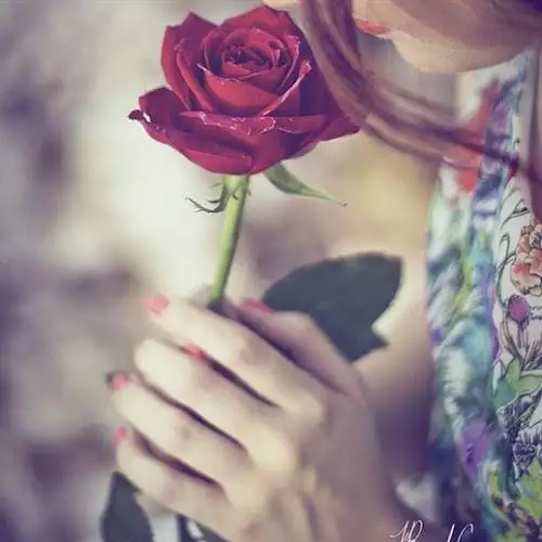 JULIA CRISTINA DE ARAUJO LEMOS