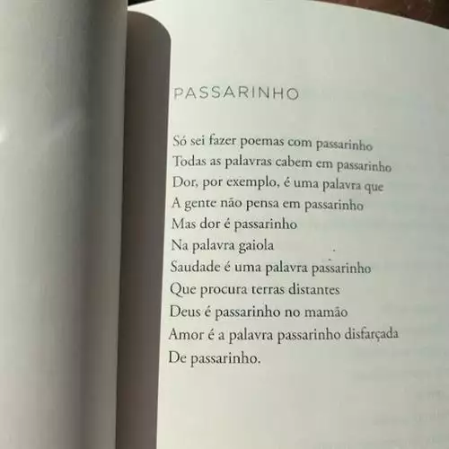 Marcelo Benini