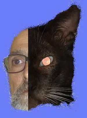 ar rahman burtugaliy