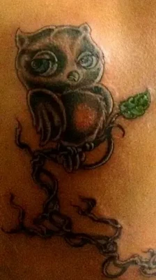 Fructus Noctivagus - C.L