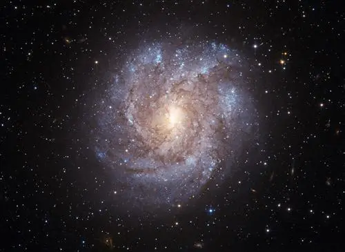 EstrelasTambemMorrem