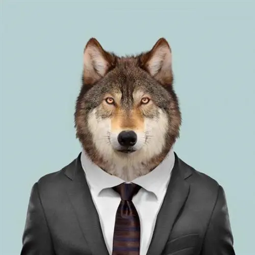 Gabriel Guerra Lobos