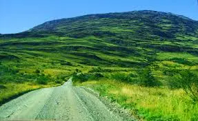 Maurício de Oliveira