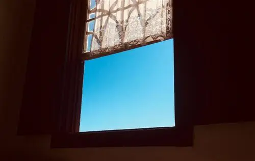 João de Castro Sampaio