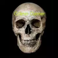 Crânio Gamer