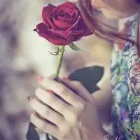 JULIA CRISTINA DE ARAUJO LEMOS