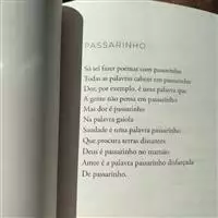Marcelo Benini