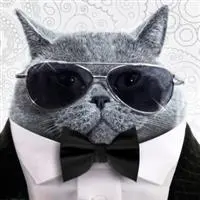 leonardo ribeiro portilio