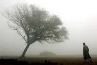 Carlos Simão Franco