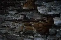 Tarsila de Oliveira Nascimento