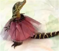 Vagoroso